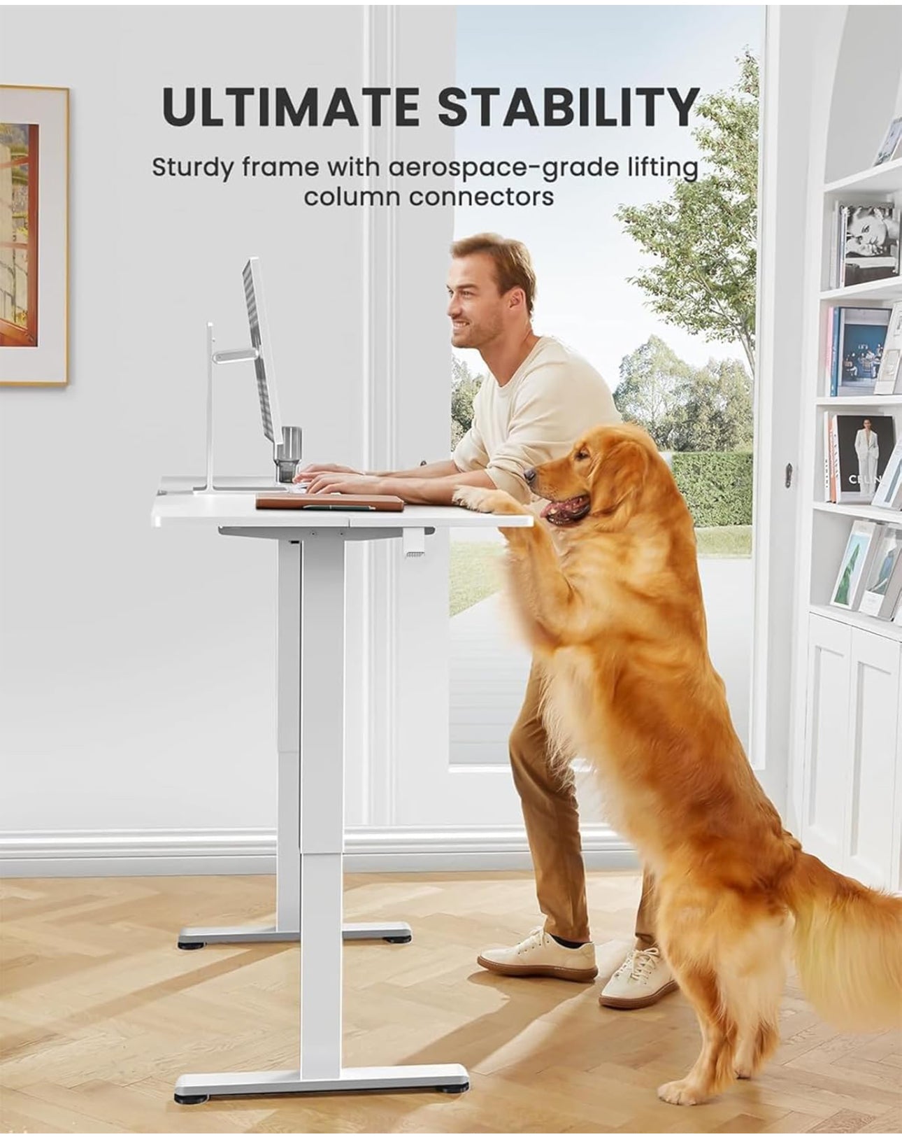 Standing Desk, 100x60cm