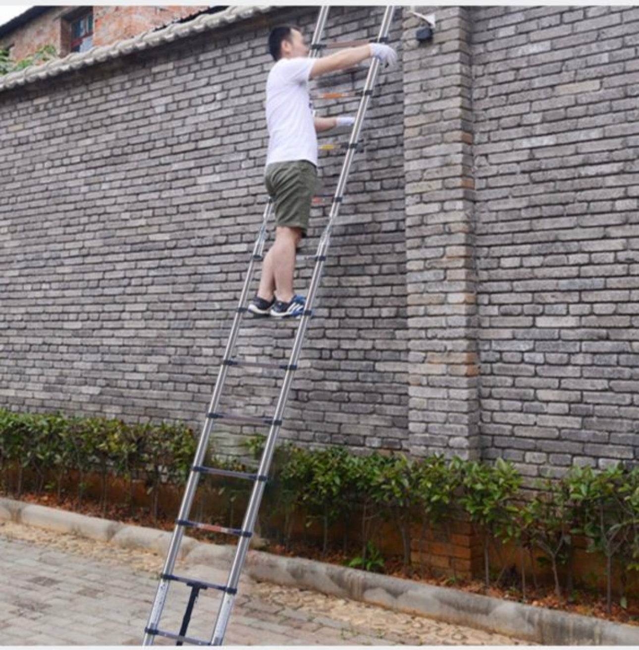 ladder 5 m aluminum up to 150 kg