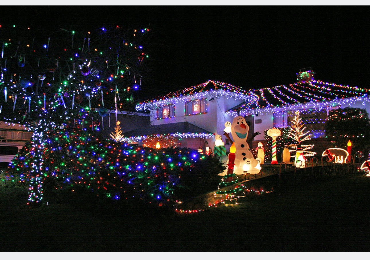 TREE LIGHTS 1000 LED 63m