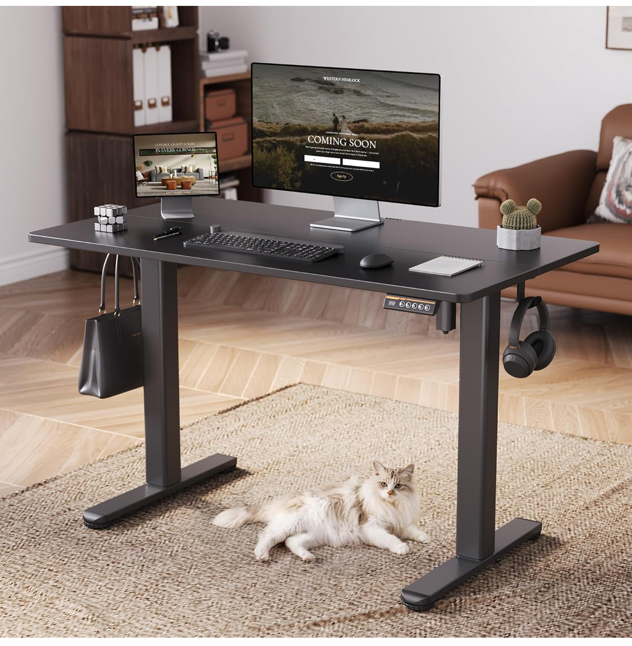 Electric Standing Desk, Adjustable Height Stand up Desk, 100x60