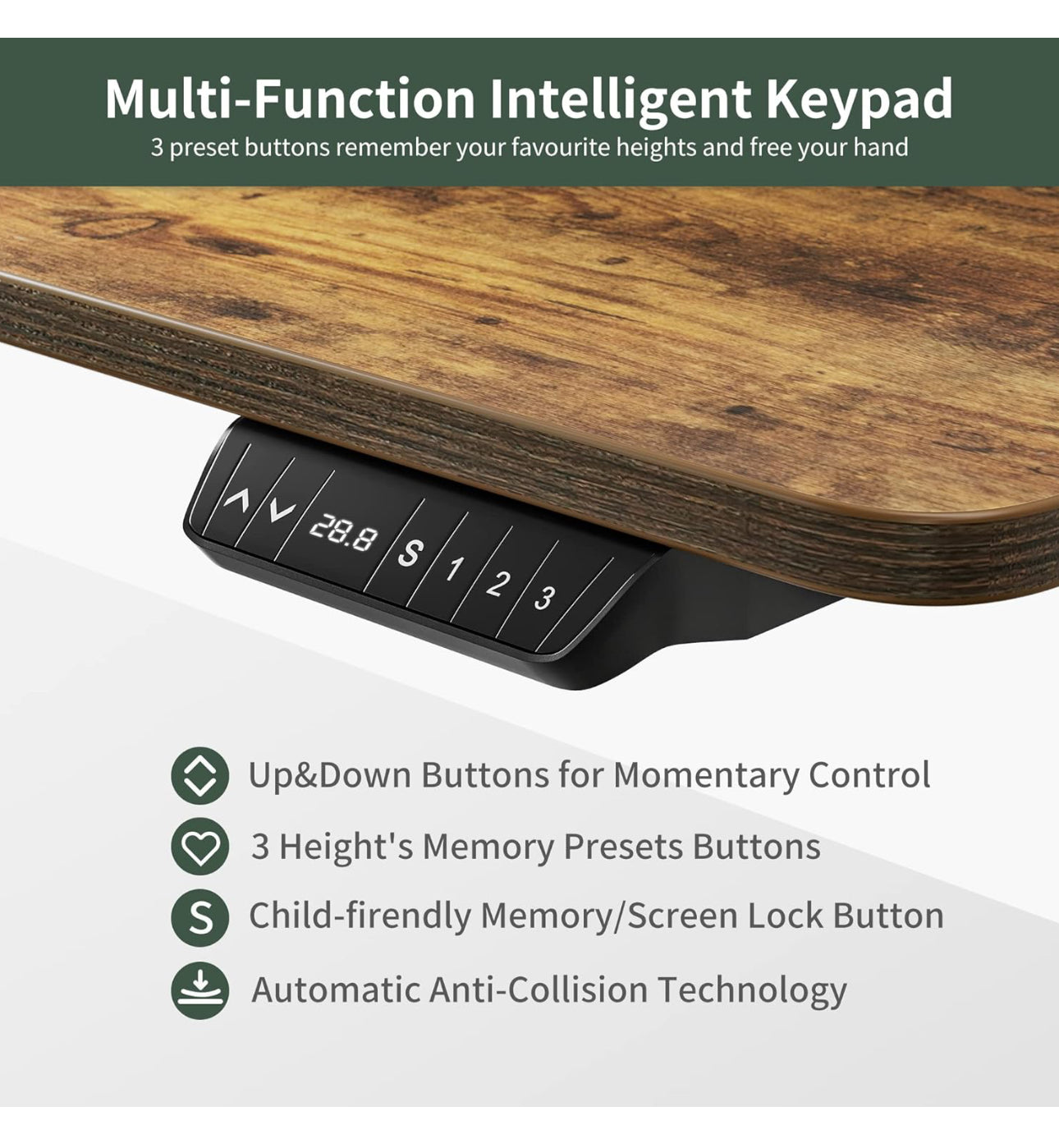 Electric Standing Desk 120x60