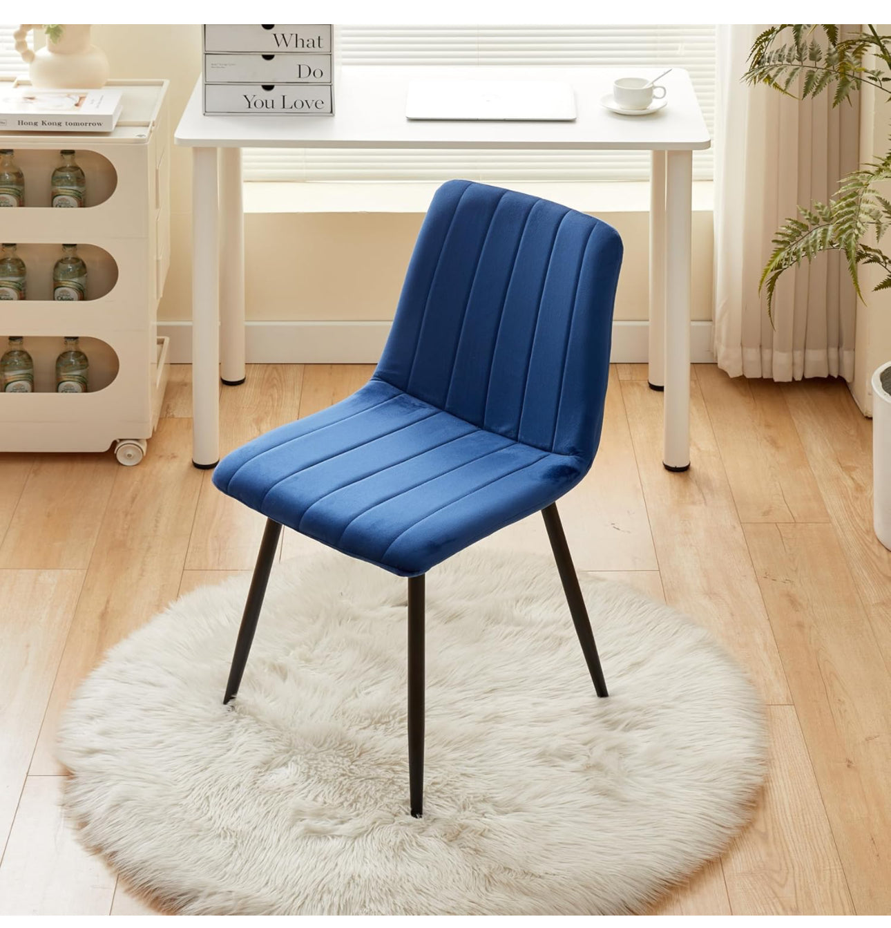 Velvet Dining Chairs Set of 4