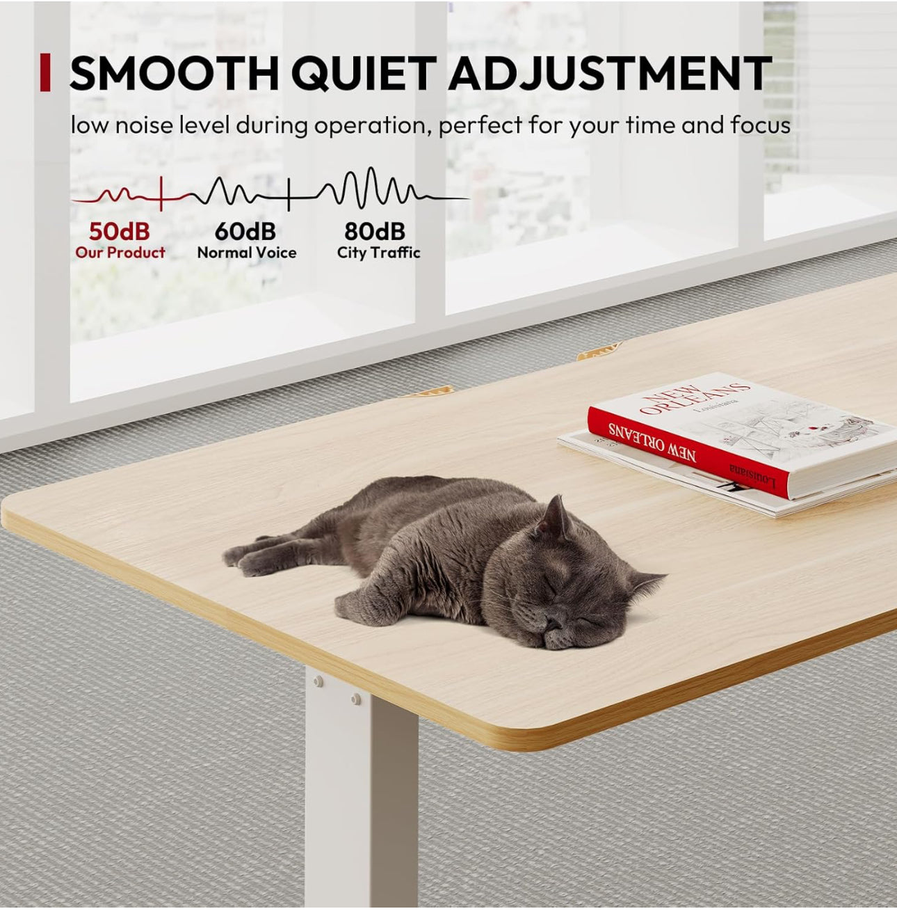 Adjustable Standing Desk
