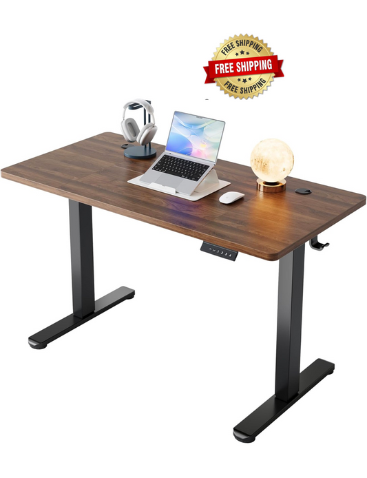 120 x 60 cm Standing Desk with USB Charging port,4 Memory Height Settings, Sit Stand Up Desk for Home Office & Computer Workstation