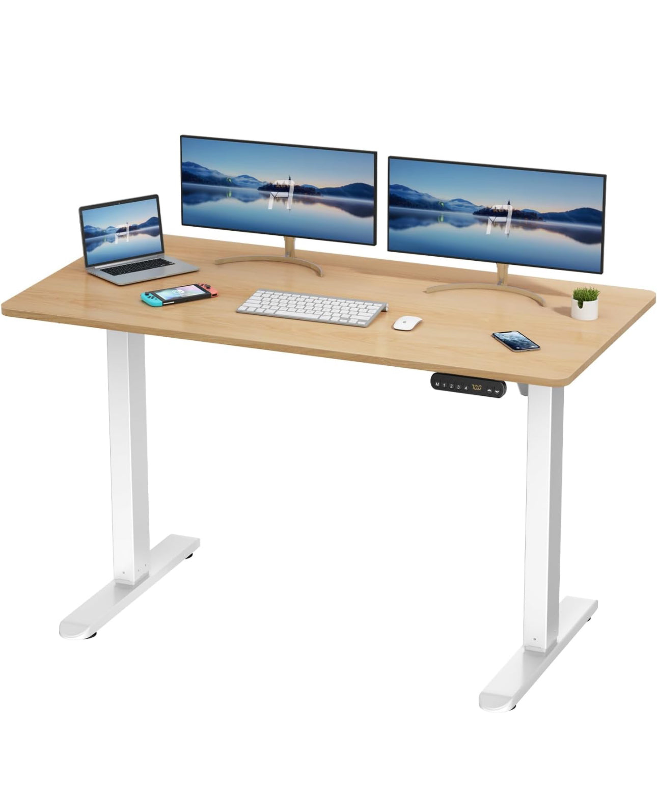 Electric Standing Desk