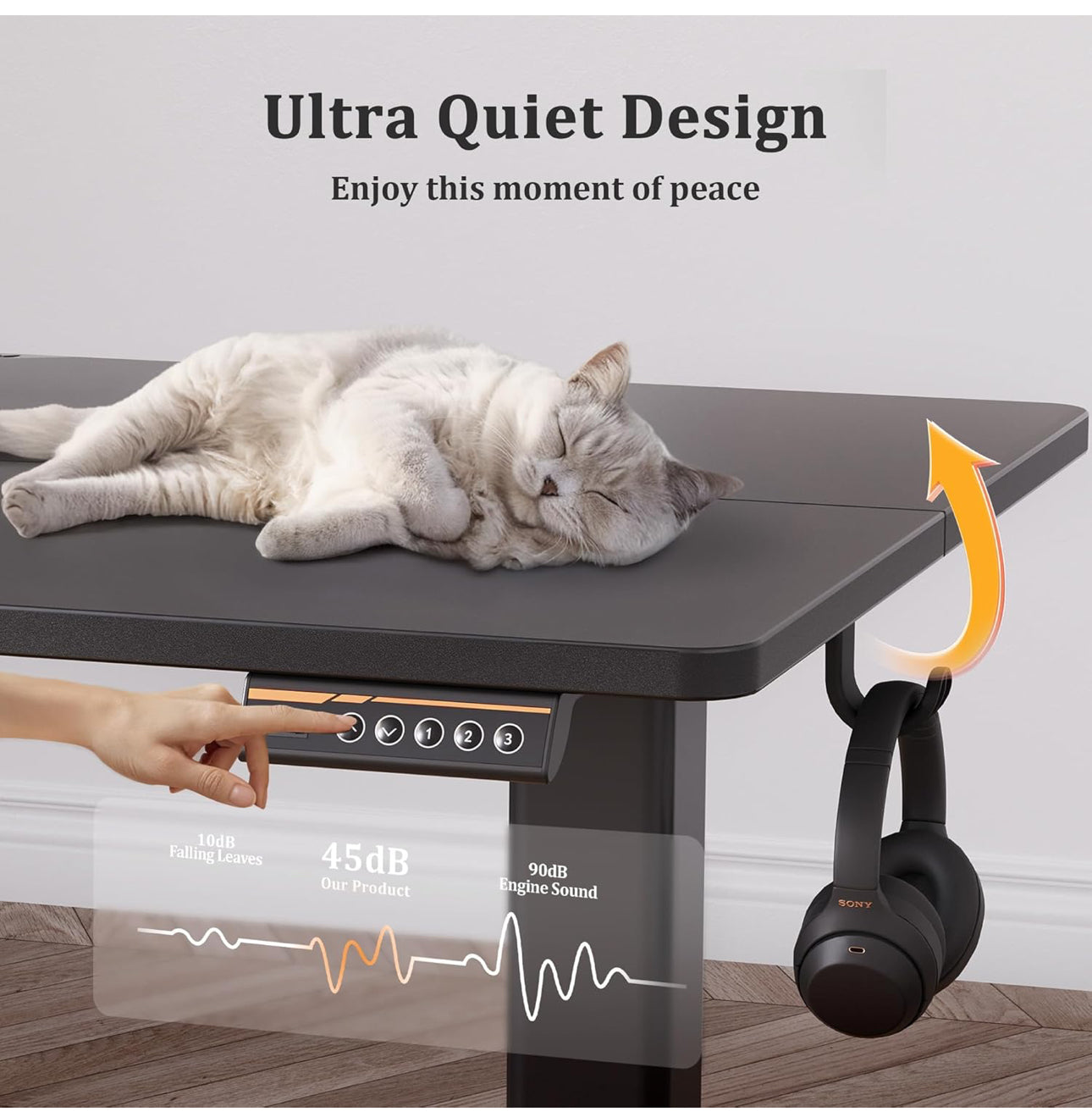 Electric Standing Desk, Adjustable Height Stand up Desk, 100x60