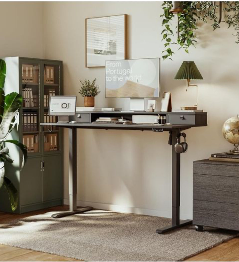 Height Adjustable Desk with Two Drawers, 120 x 60 cm Electric Computer Desks with Memory Function