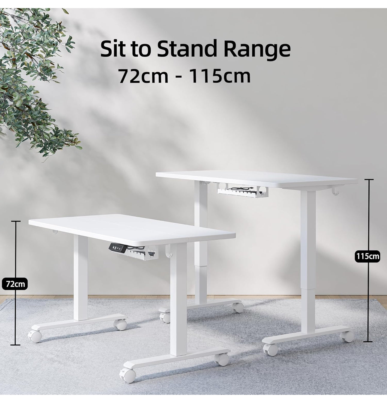 Height Adjustable Electric Standing Desk - 100x60cm