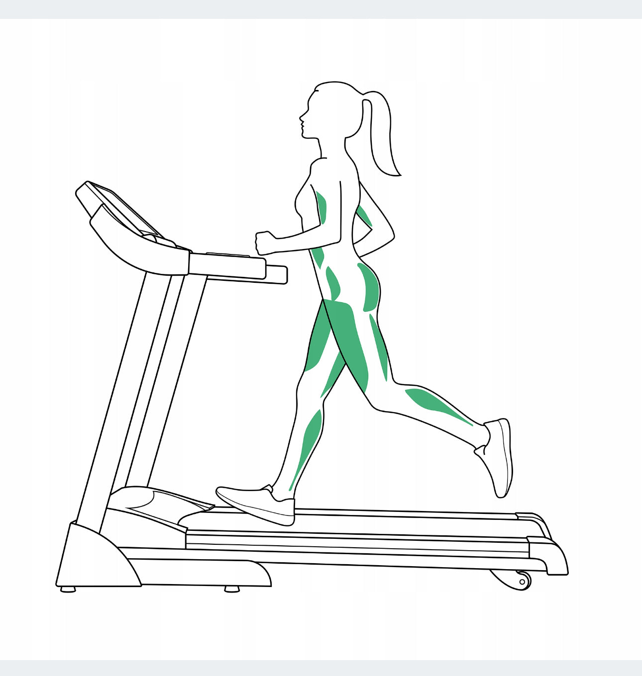Treadmill electric  up to 110 kg
