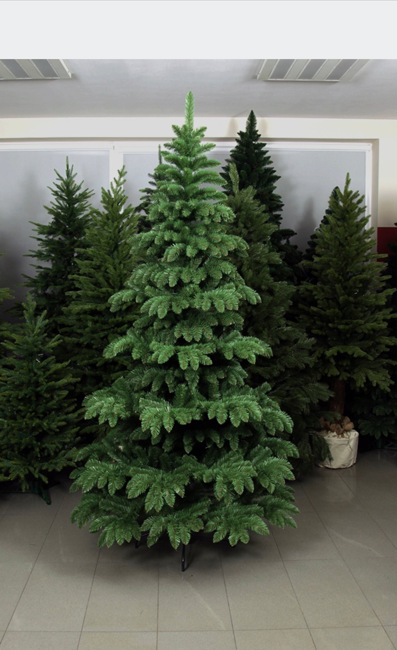 Christmas Tree 250 cm