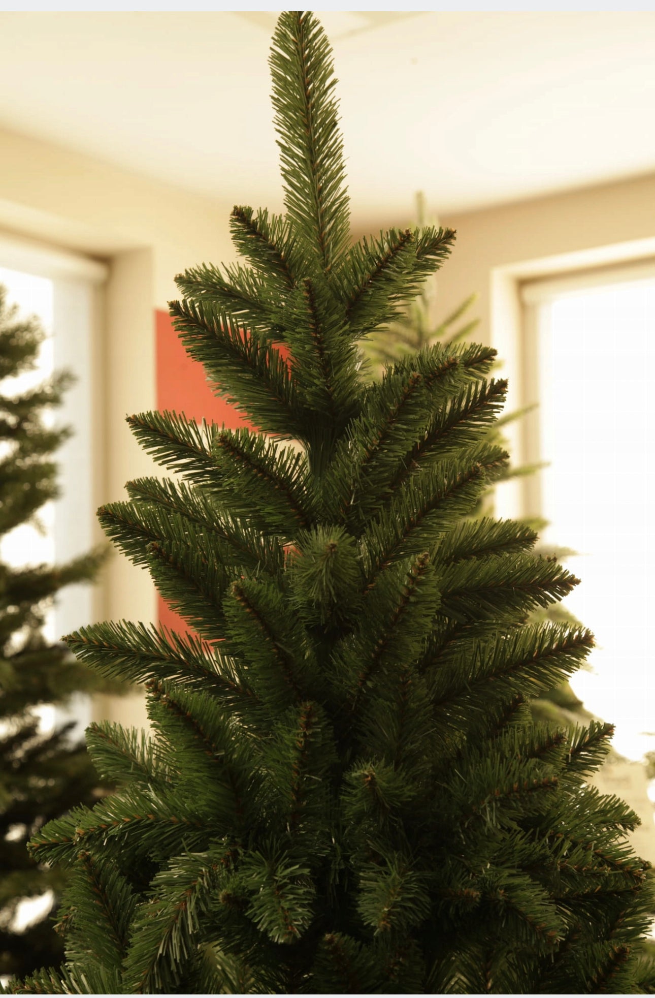 Christmas Tree 250 cm