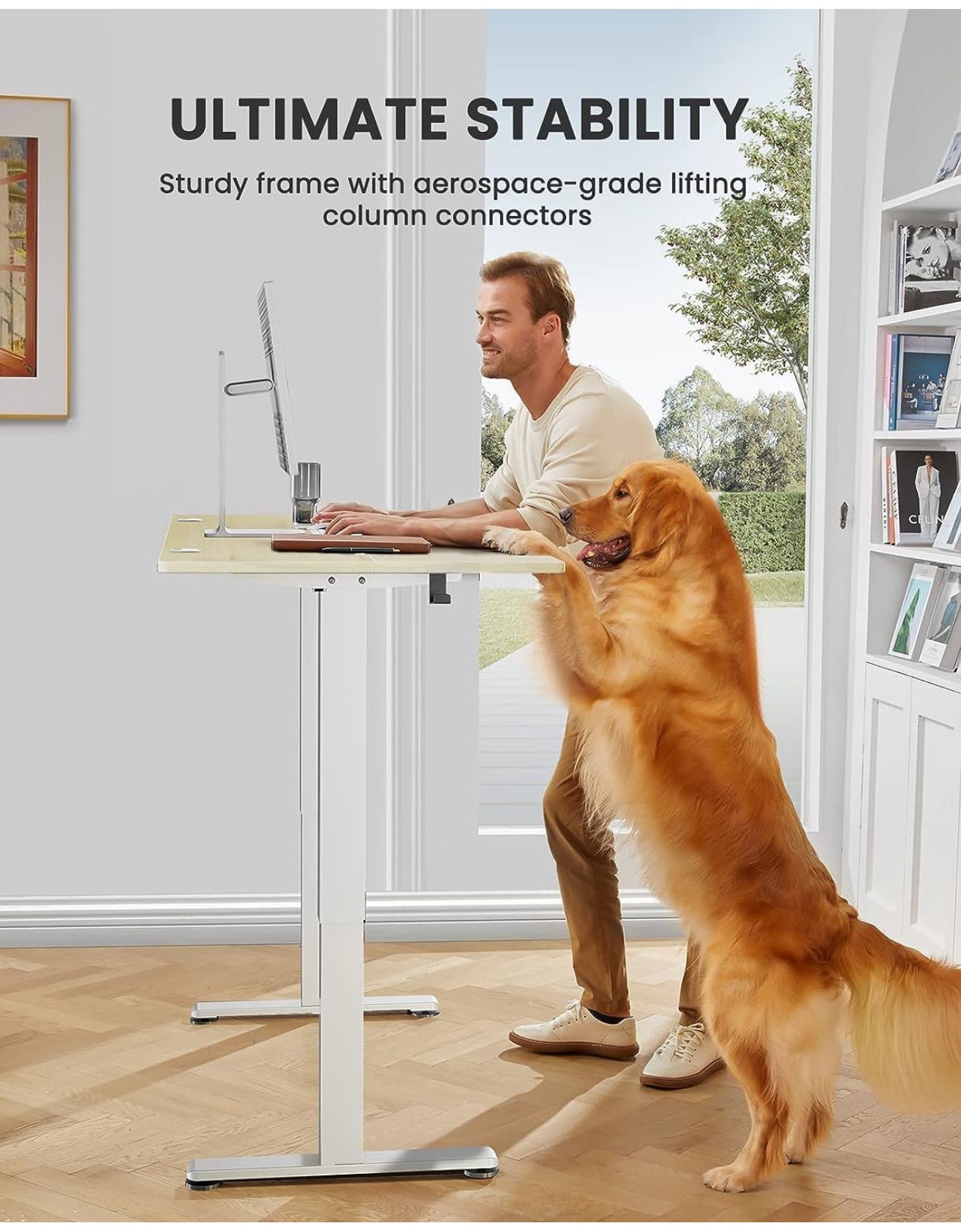 Electric Standing Desk 120x60cm