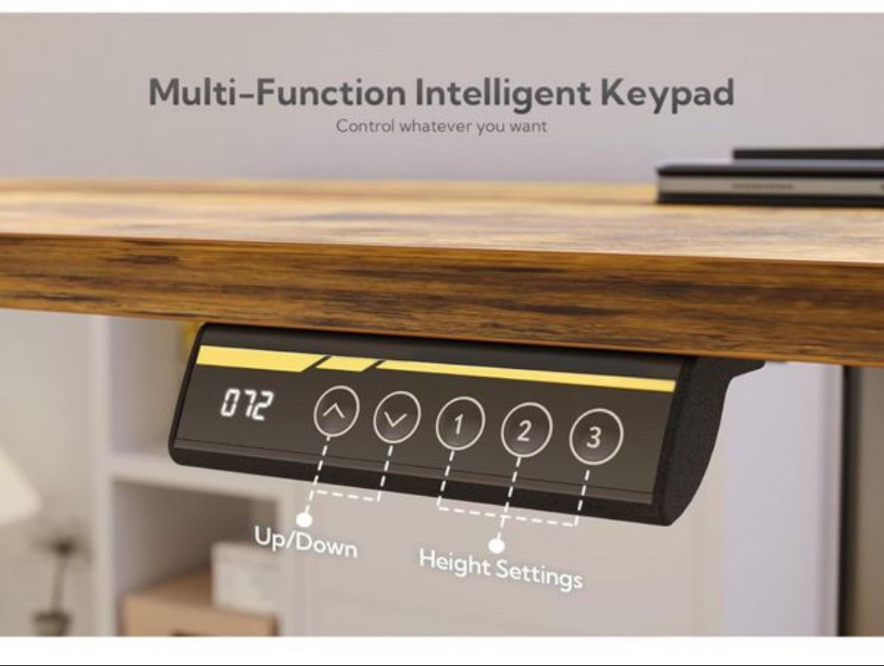 Electric Standing Desk 120x60cm