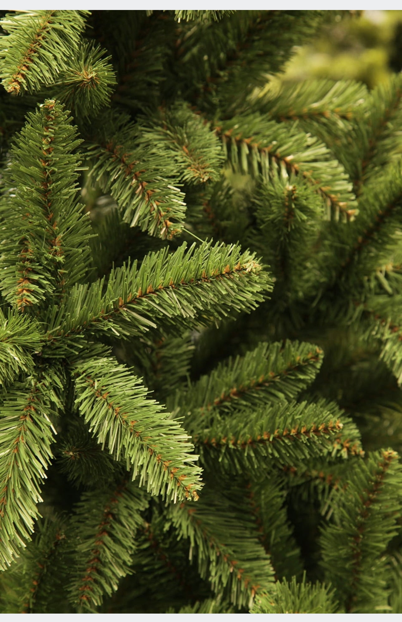 Christmas Tree 250 cm