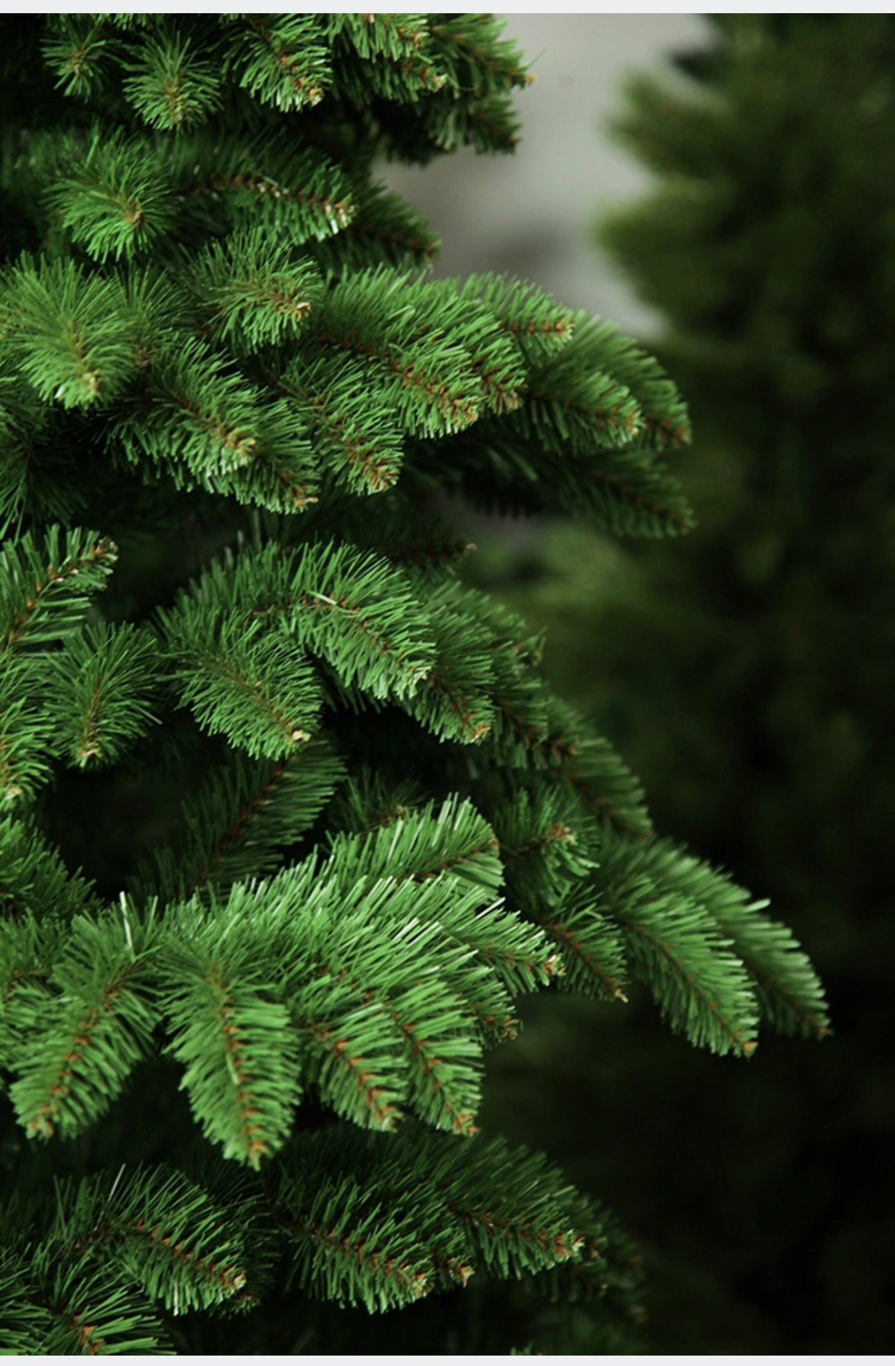 Christmas Tree 250 cm