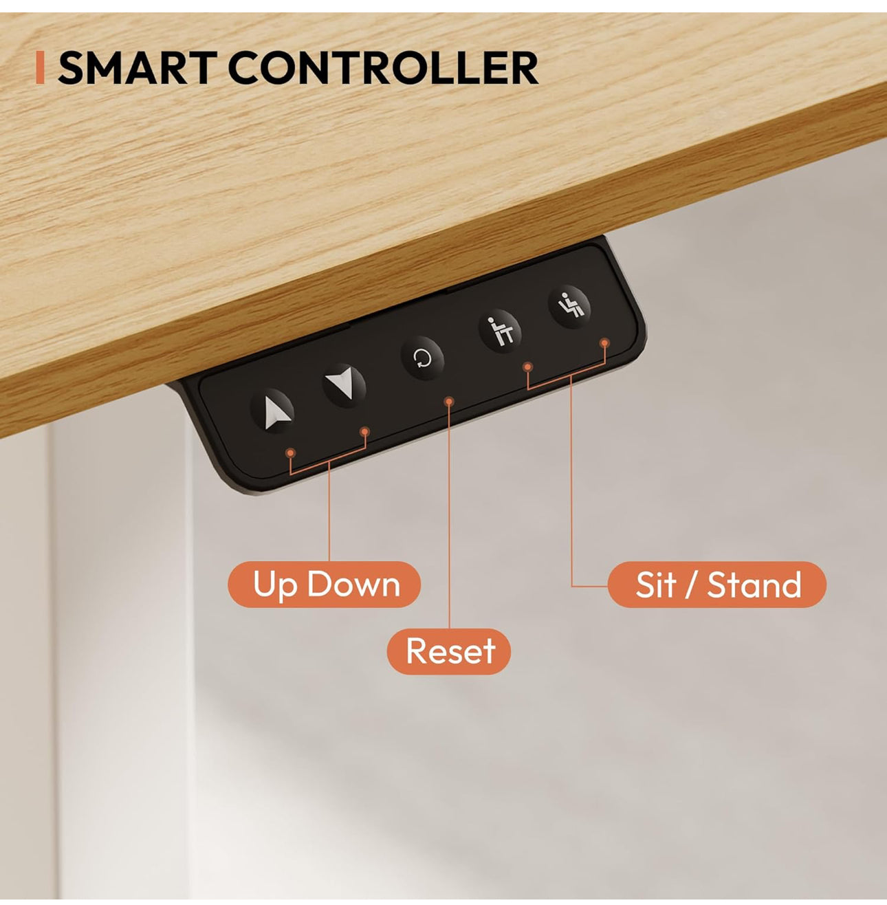 160 × 75 Electric Standing Desk Height Adjustable