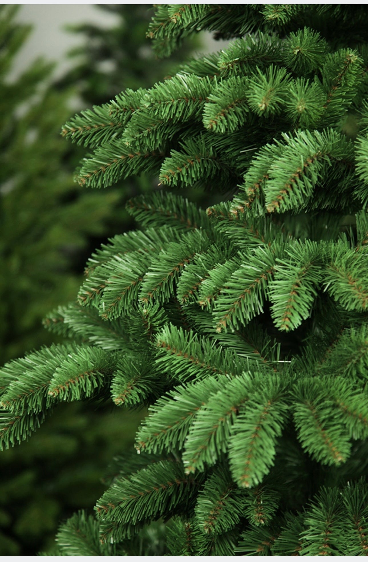 Christmas Tree 250 cm