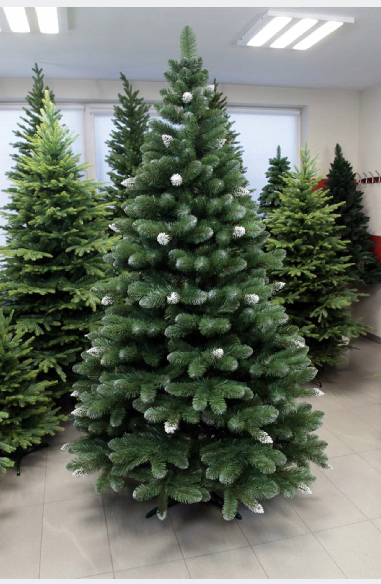 Christmas Tree 220 cm Frosty