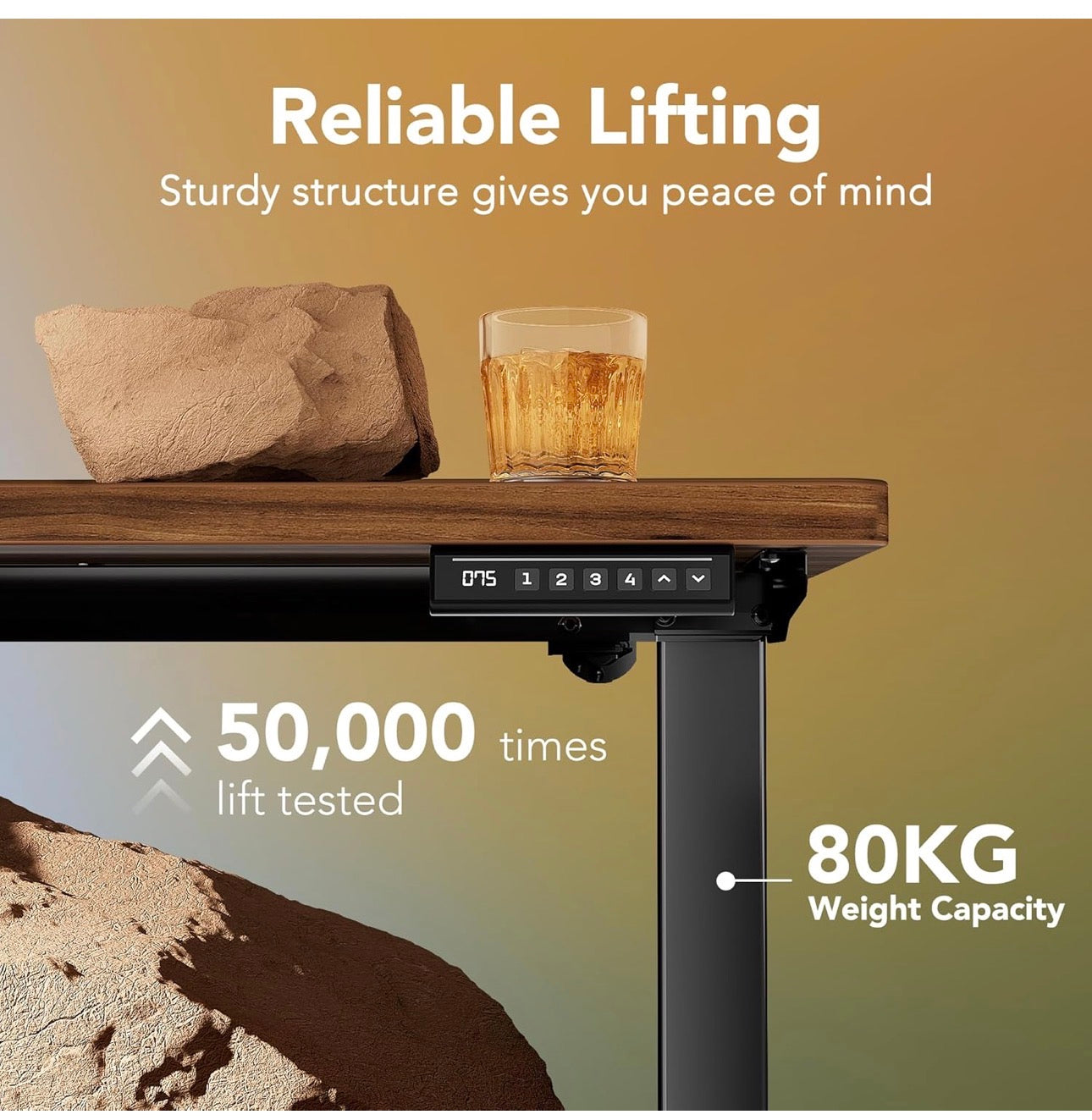 120 x 60 cm Standing Desk with USB Charging port,4 Memory Height Settings, Sit Stand Up Desk for Home Office & Computer Workstation
