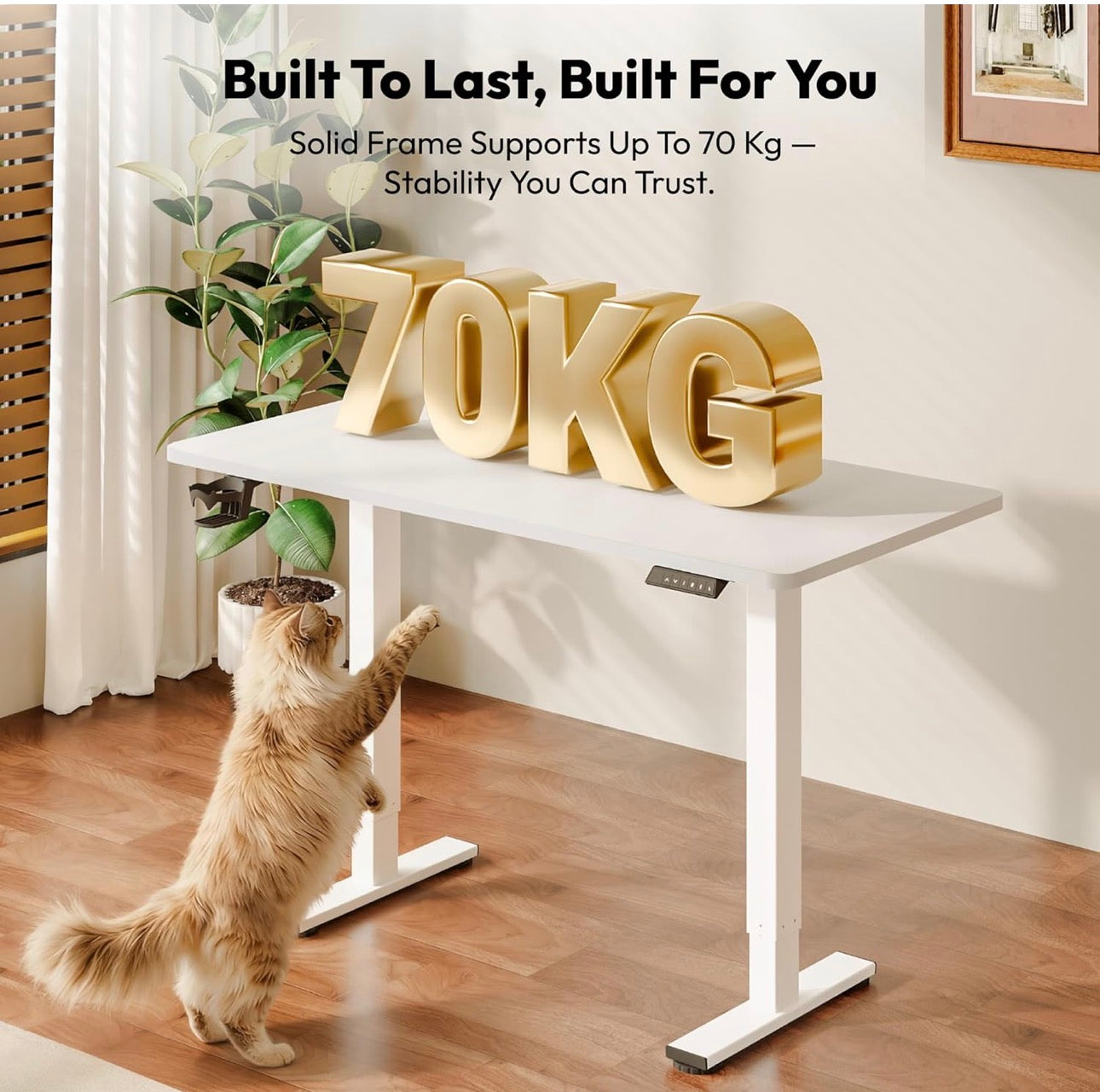 Electric Standing Desk ONE PIECE 110 * 54 Height Adjustable Desk With Memory Smart Panel