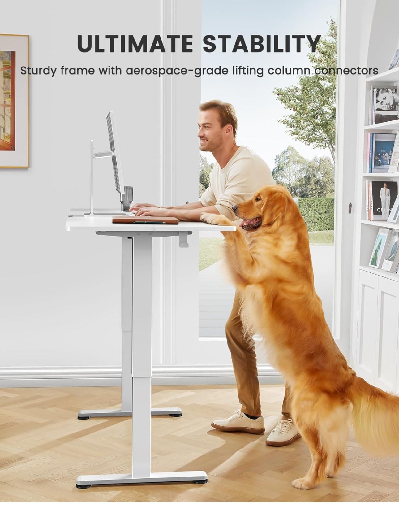 Electric Standing Desk Height Adjustable 120 x 60cm
