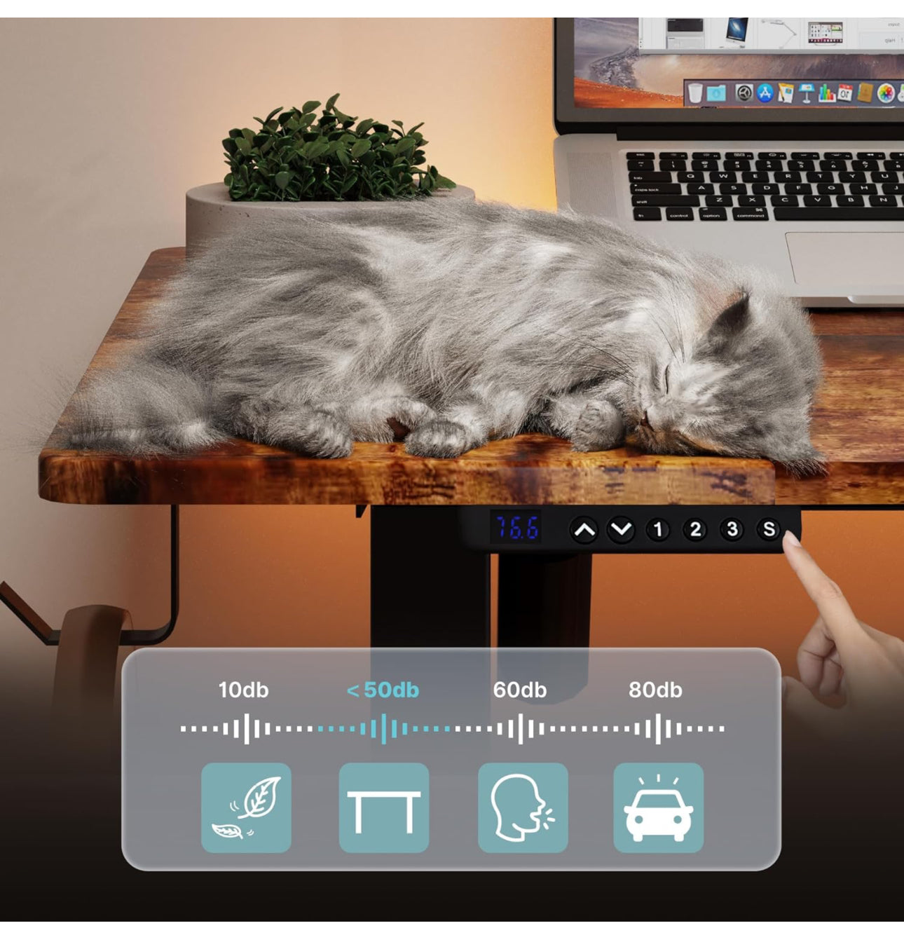 Electric Standing Desk 120x60cm