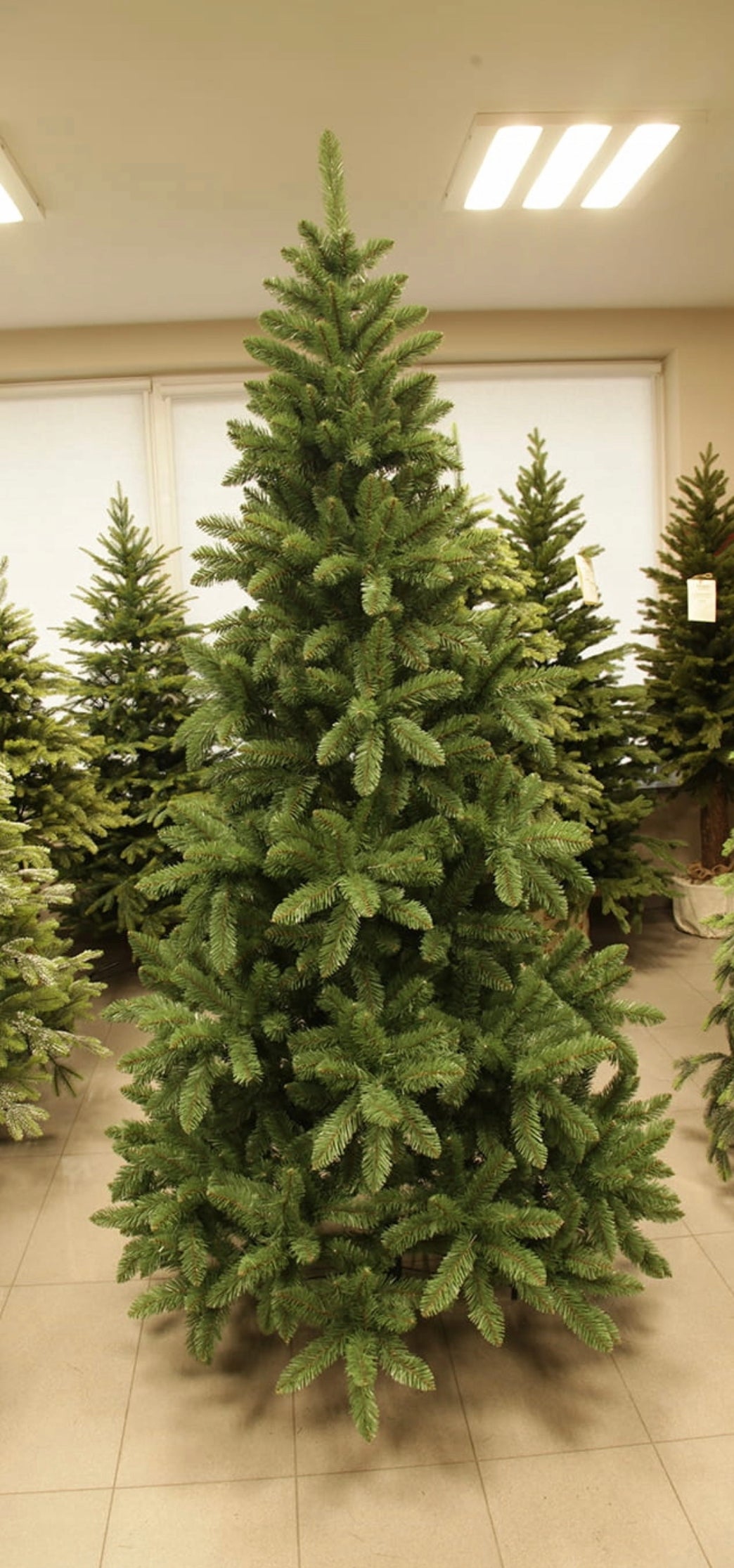Christmas Tree 250 cm