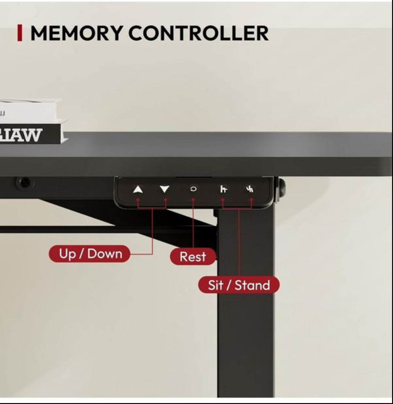 110 x 60 Electric Standing Desk
