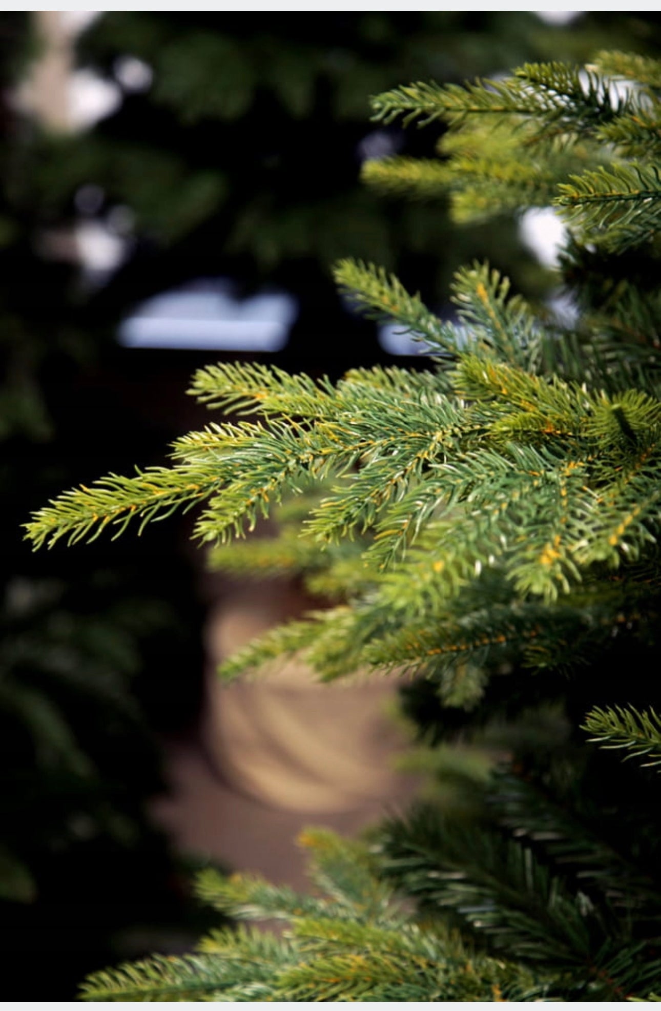 Christmas Tree 220 cm
