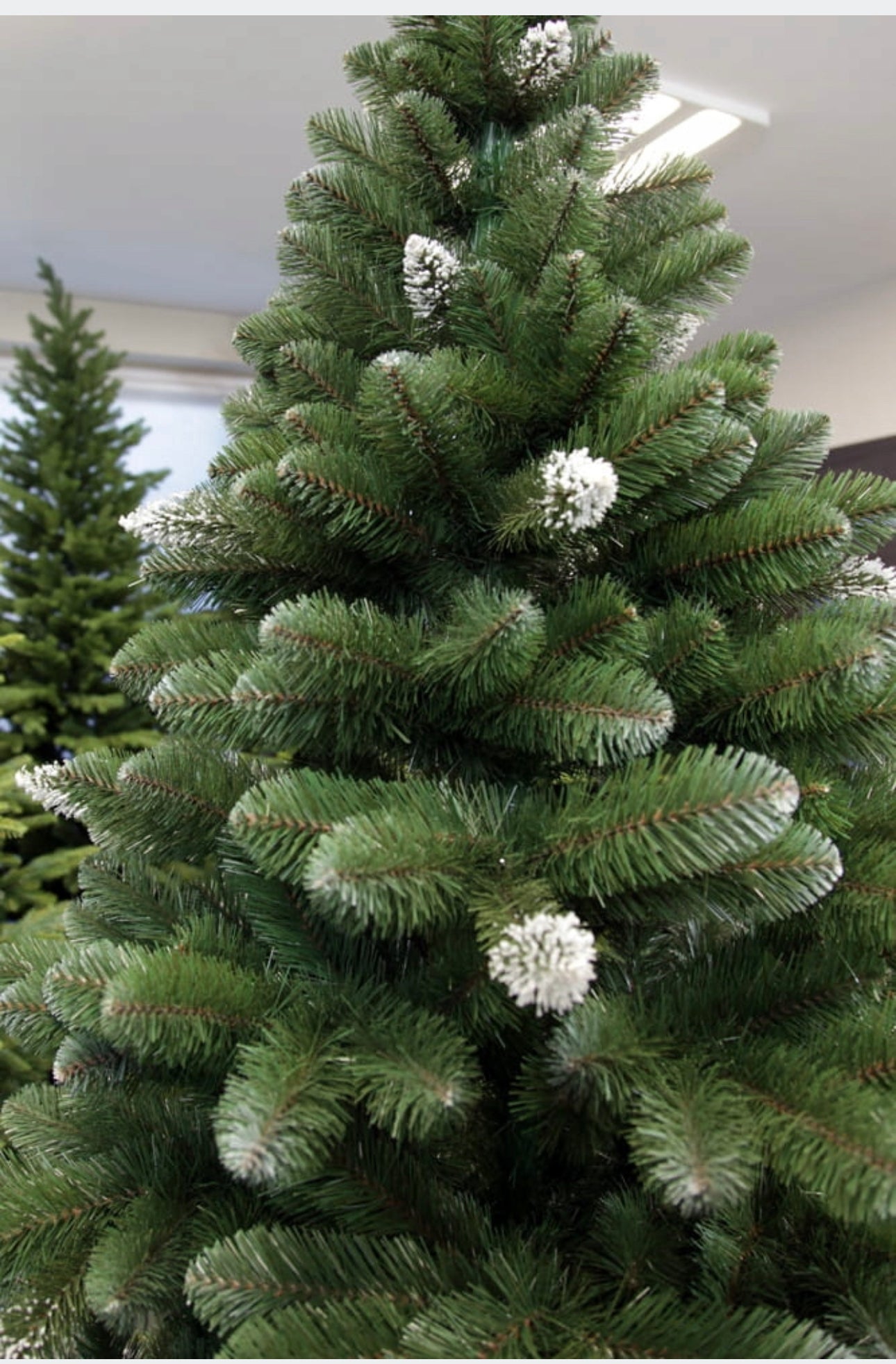 Christmas Tree 220 cm Frosty