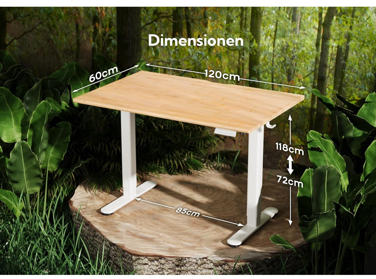 Bamboo Electric Standing Desk