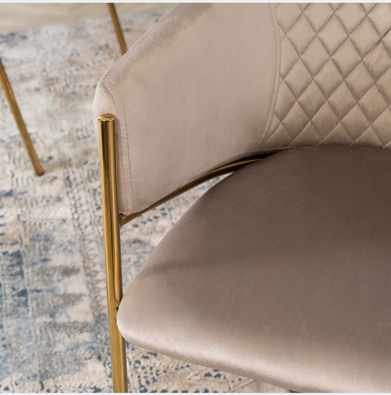 Chair for Living Room