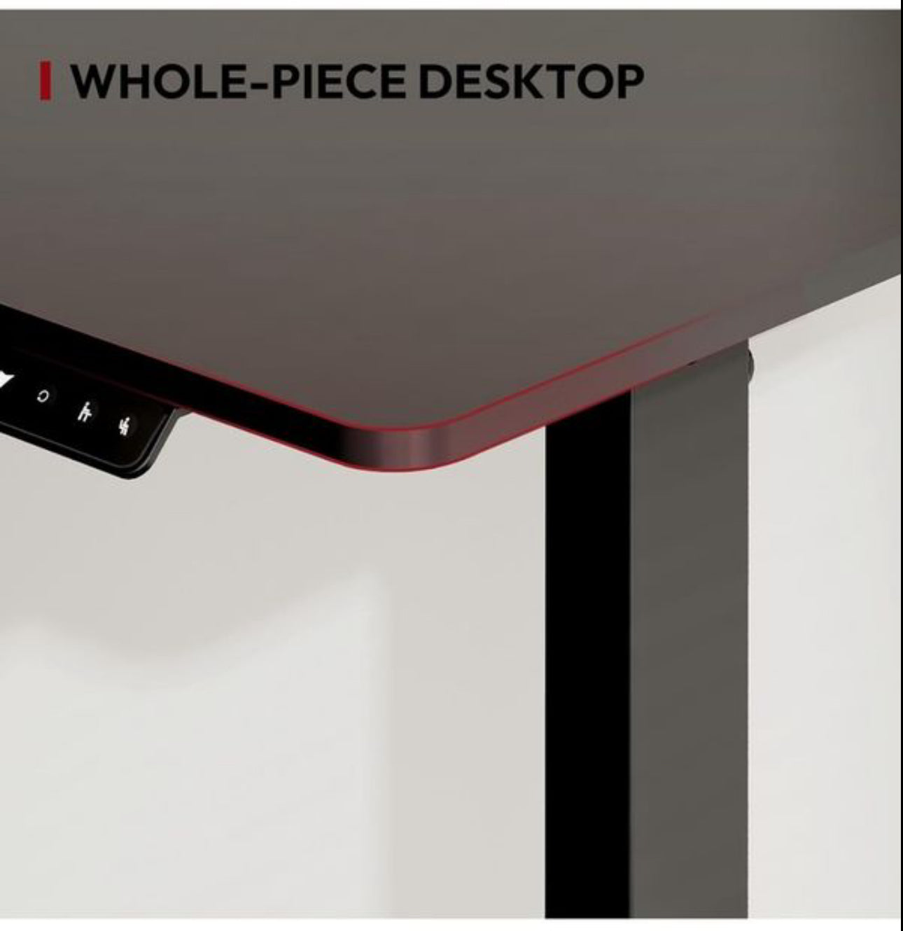 110 x 60 Electric Standing Desk