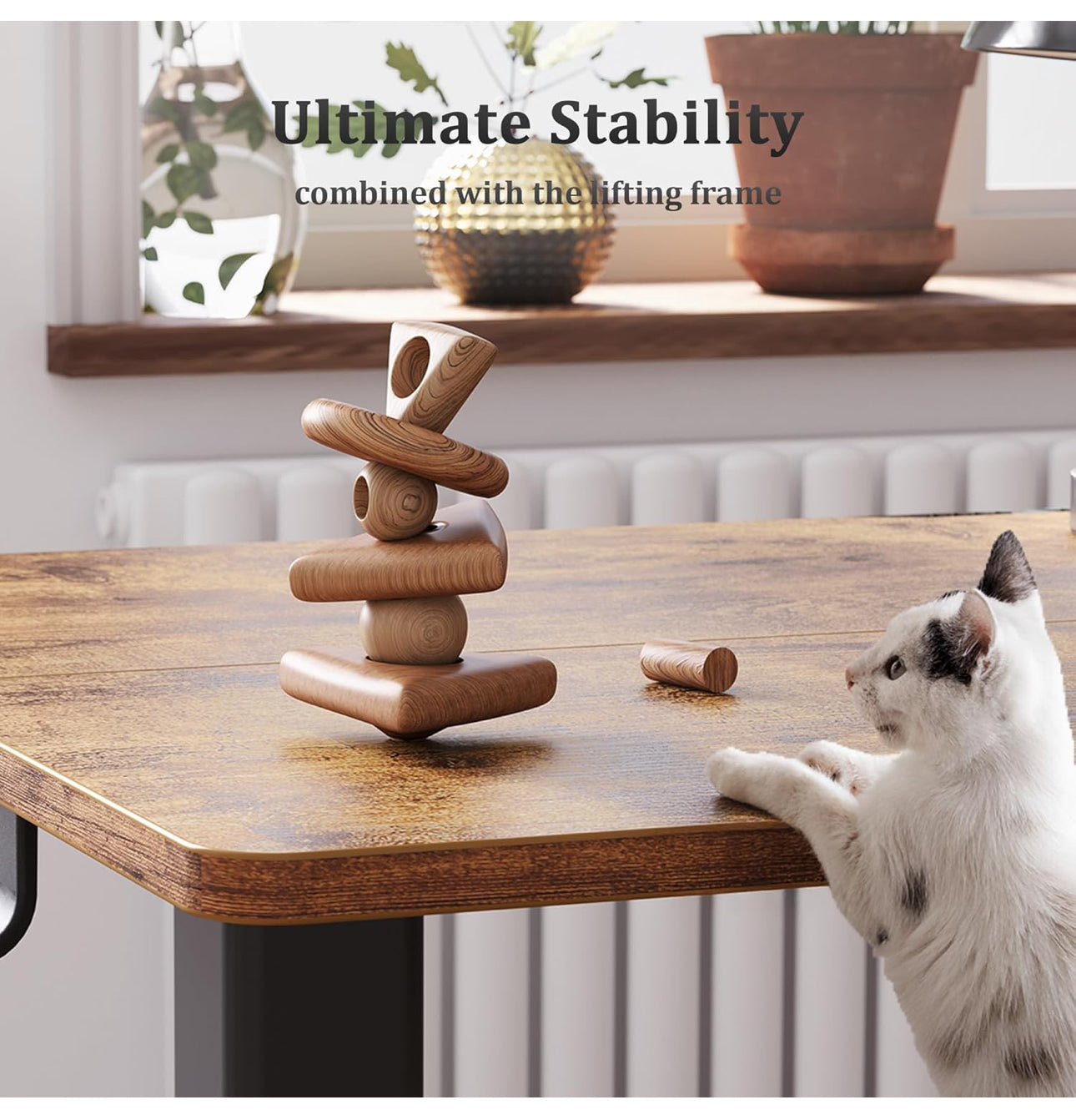 1- Electric Standing Desk 100x60cm