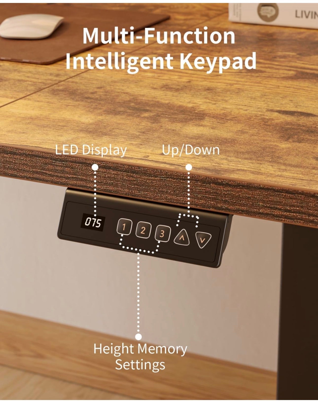 Electric Standing Desk Height Adjustable For Gaming and Computer, 120 x 60cm