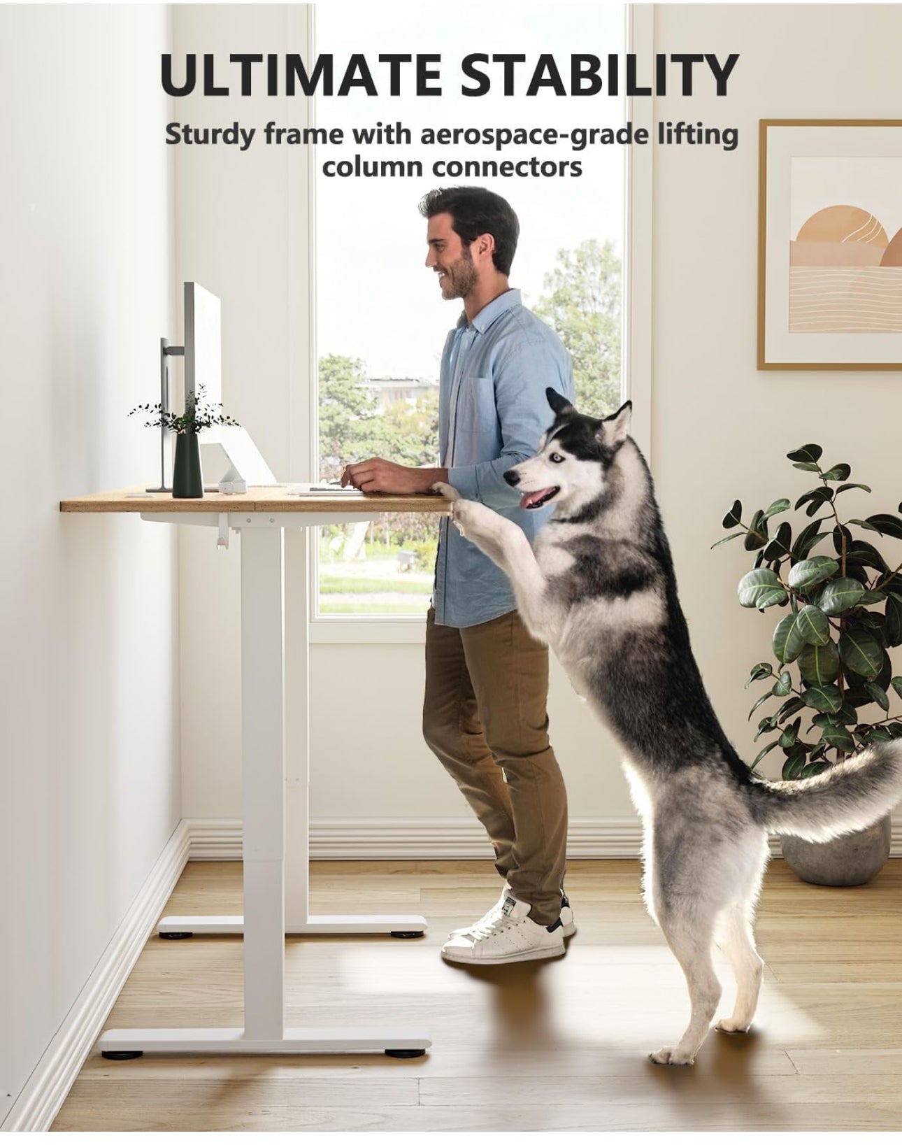 100 x 60cm Electric Height Adjustable Standing Desk