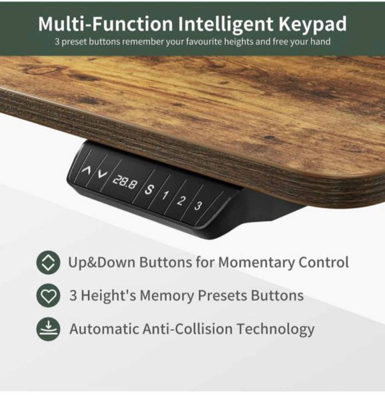 Electric Standing Desk