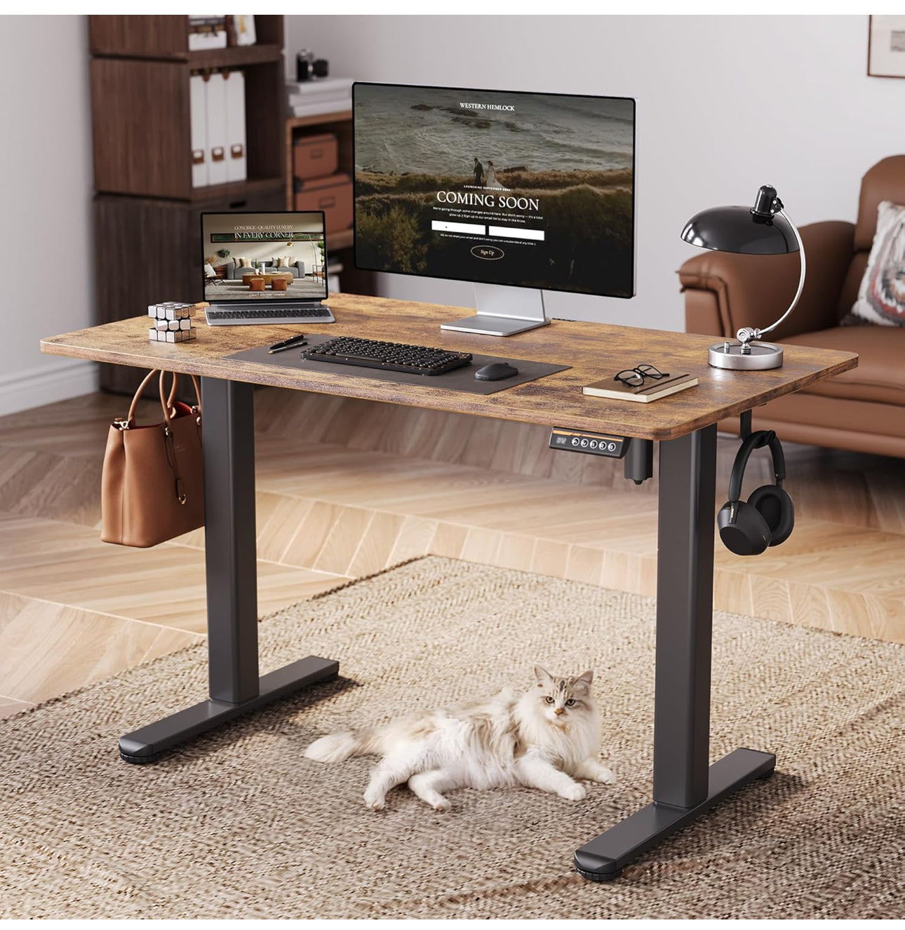 1- Electric Standing Desk 100x60cm