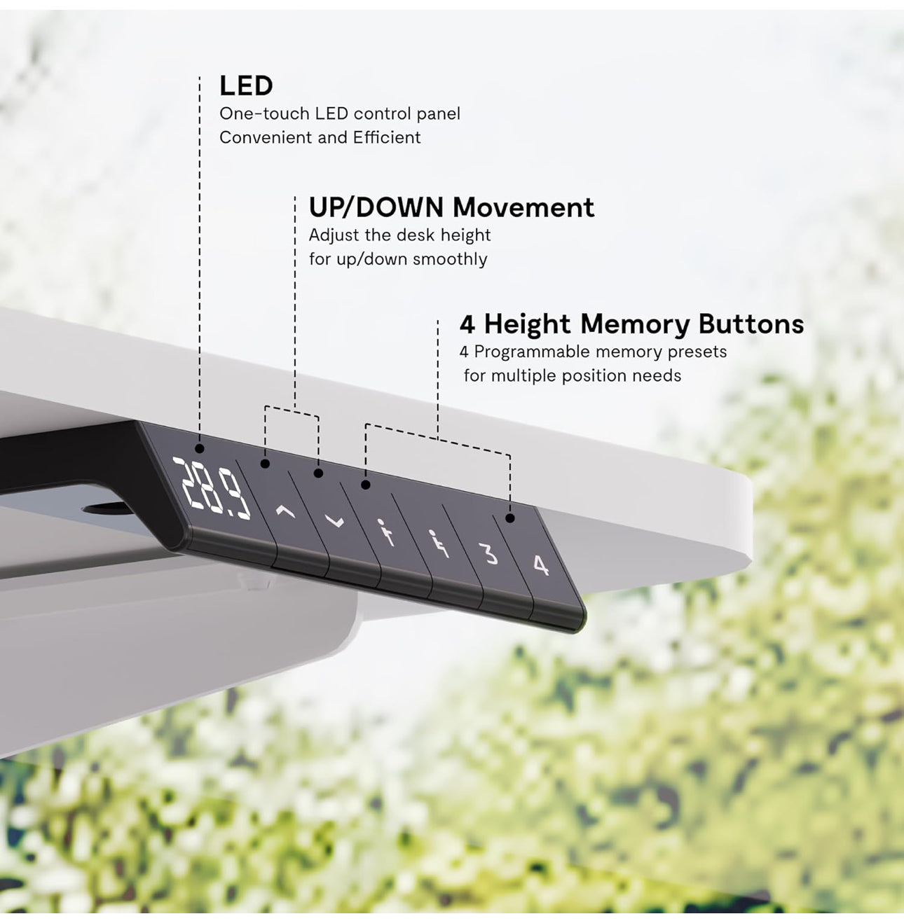 ONE PIECE Electric Standing Desk Height