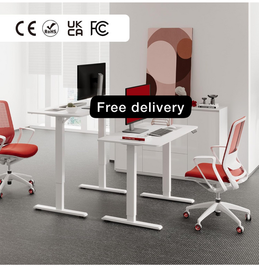 110 * 60 Electric Standing Desk ONE PIECE