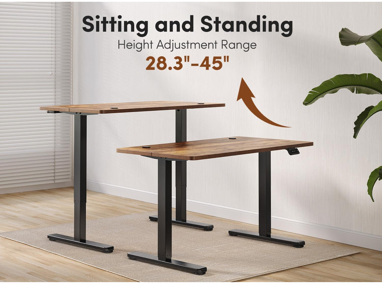 Electric Height Adjustable Standing Desk, 60x100cm