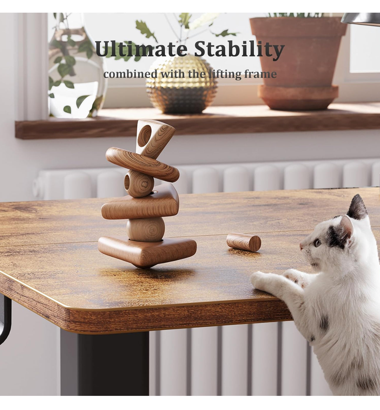 Electric Standing Desk, Adjustable Height Stand up Desk