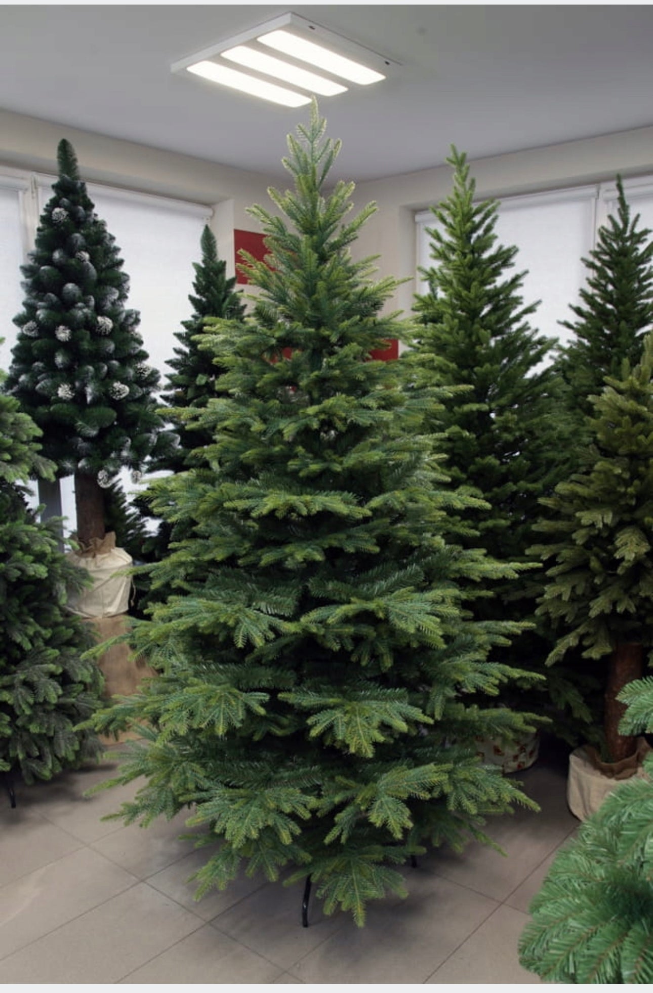 Christmas Tree 220 cm