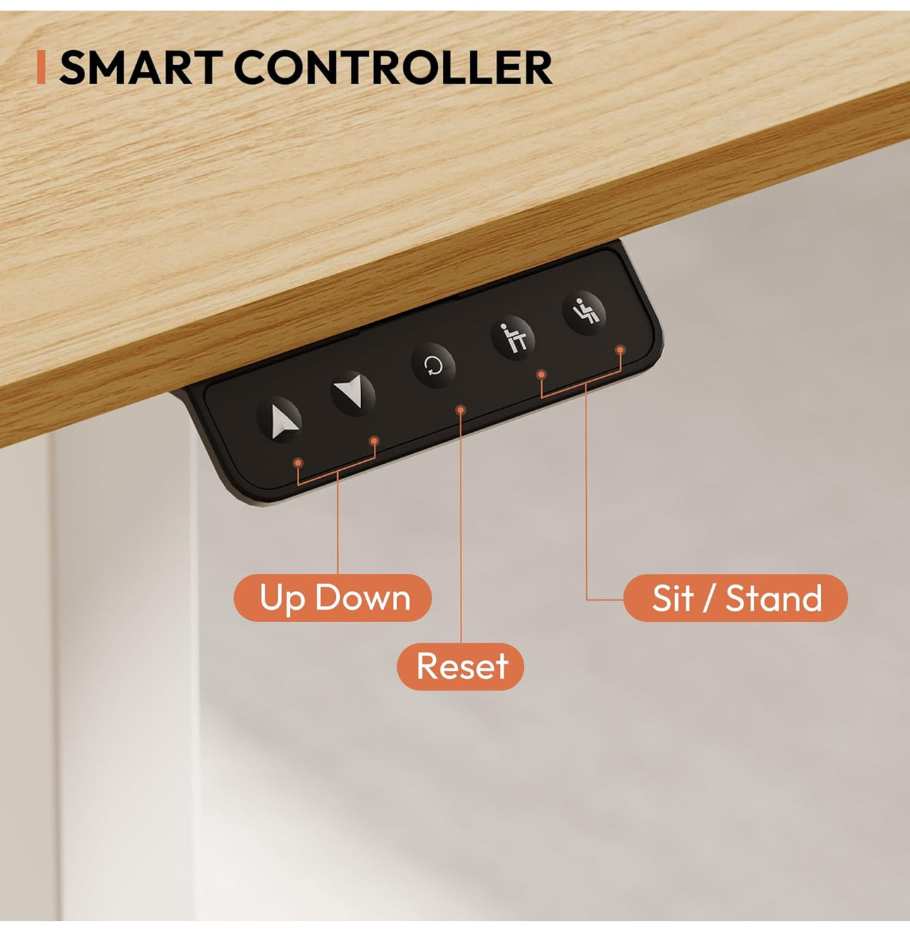 160 × 75 Electric Standing Desk Height Adjustable
