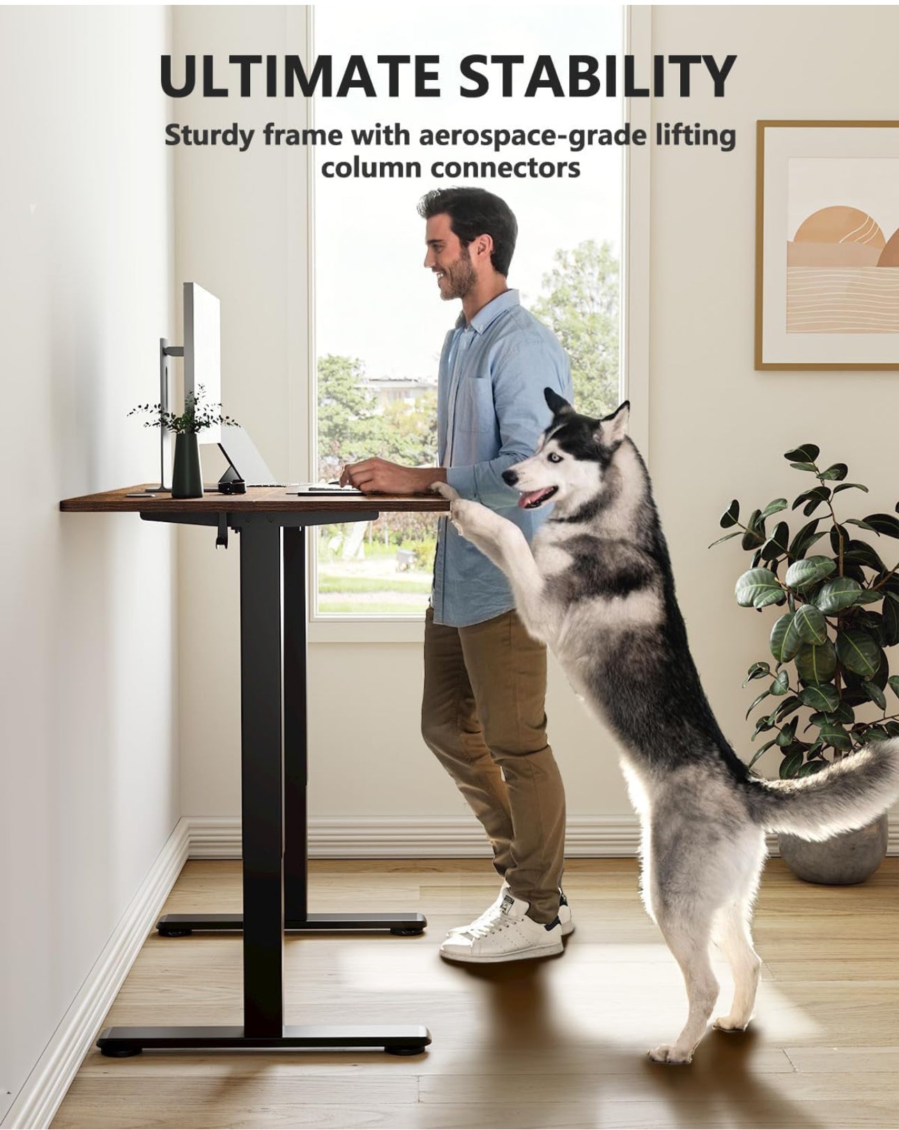 100 x 60cm Electric Height Adjustable Standing Desk