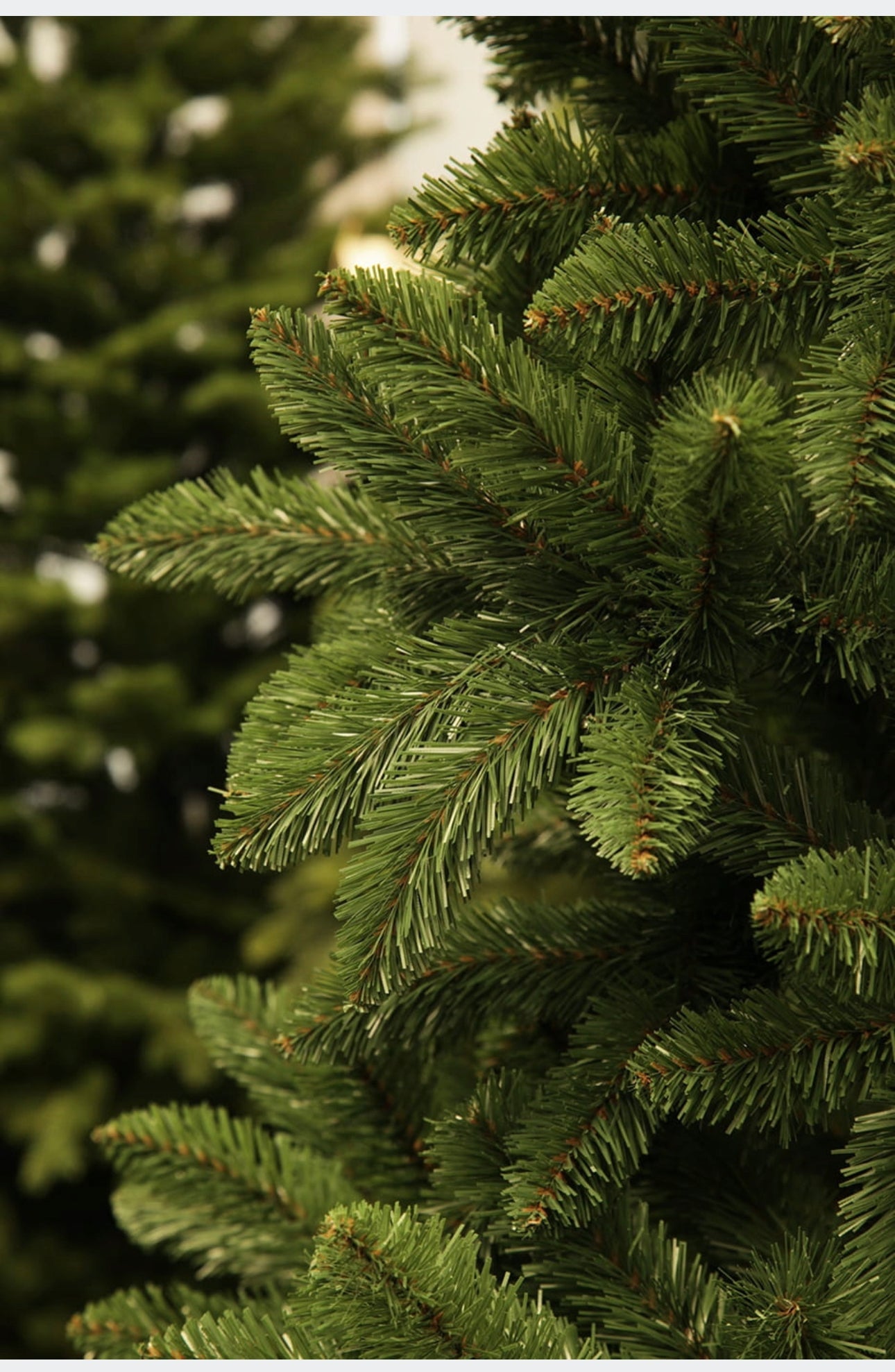Christmas Tree 250 cm