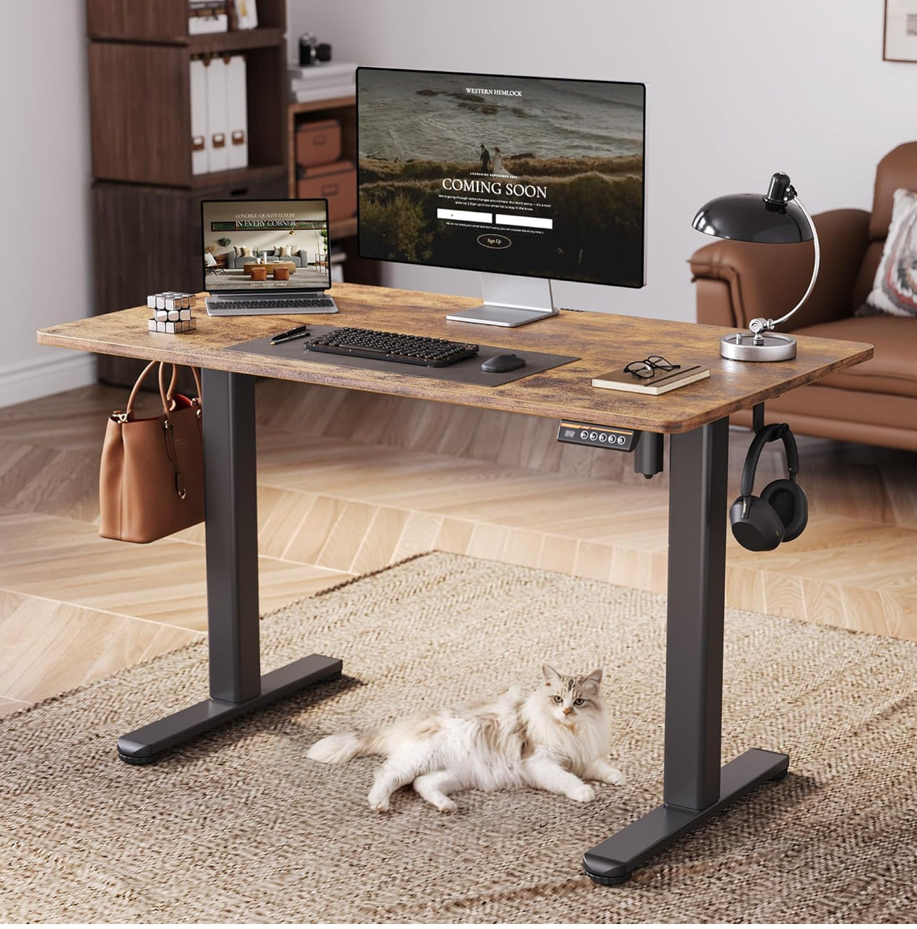 Electric Standing Desk, Adjustable Height Stand up Desk