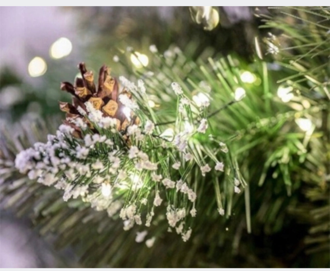 Christmas Tree 180 cm + free gift