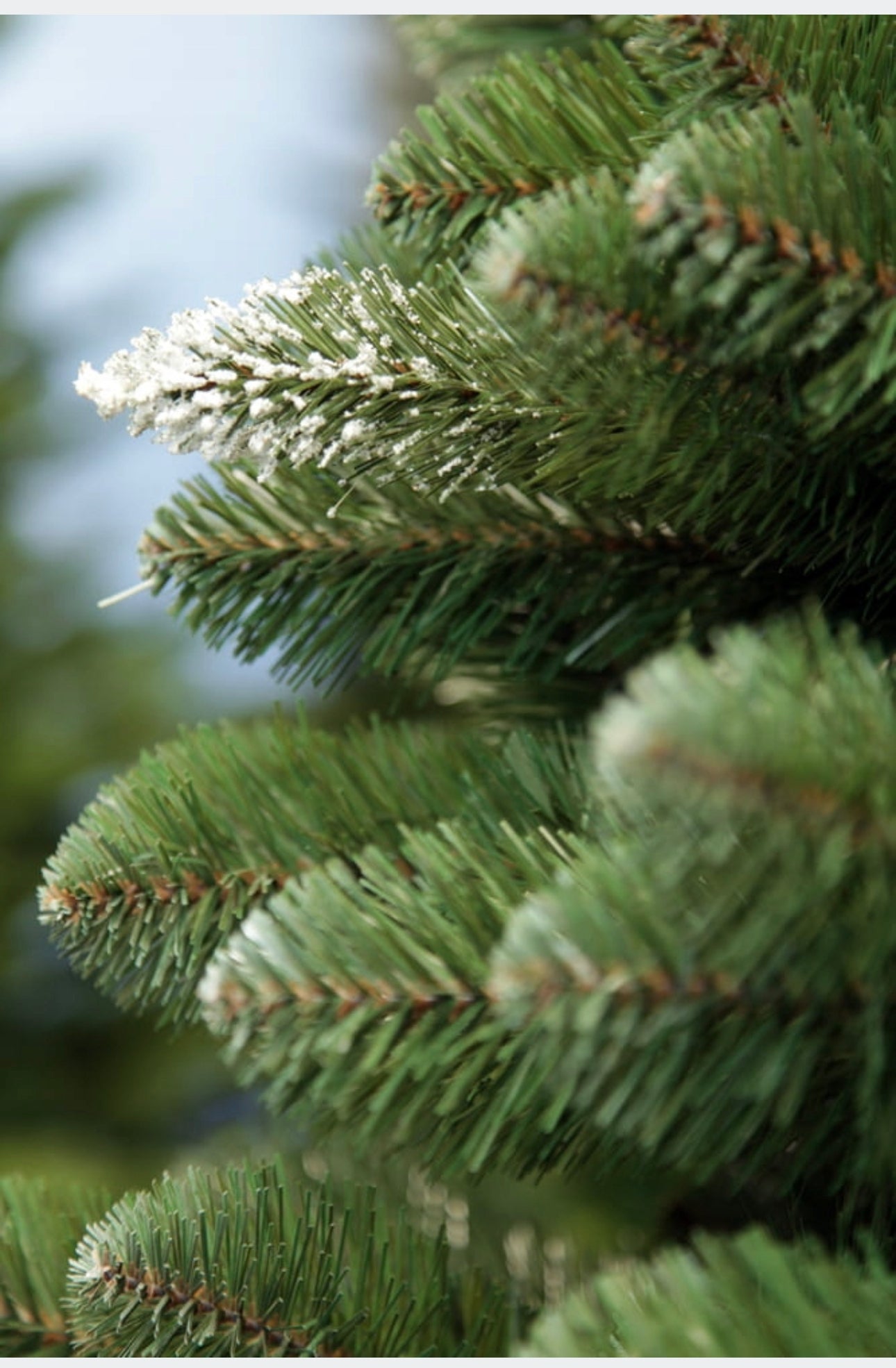 Christmas Tree 220 cm Frosty