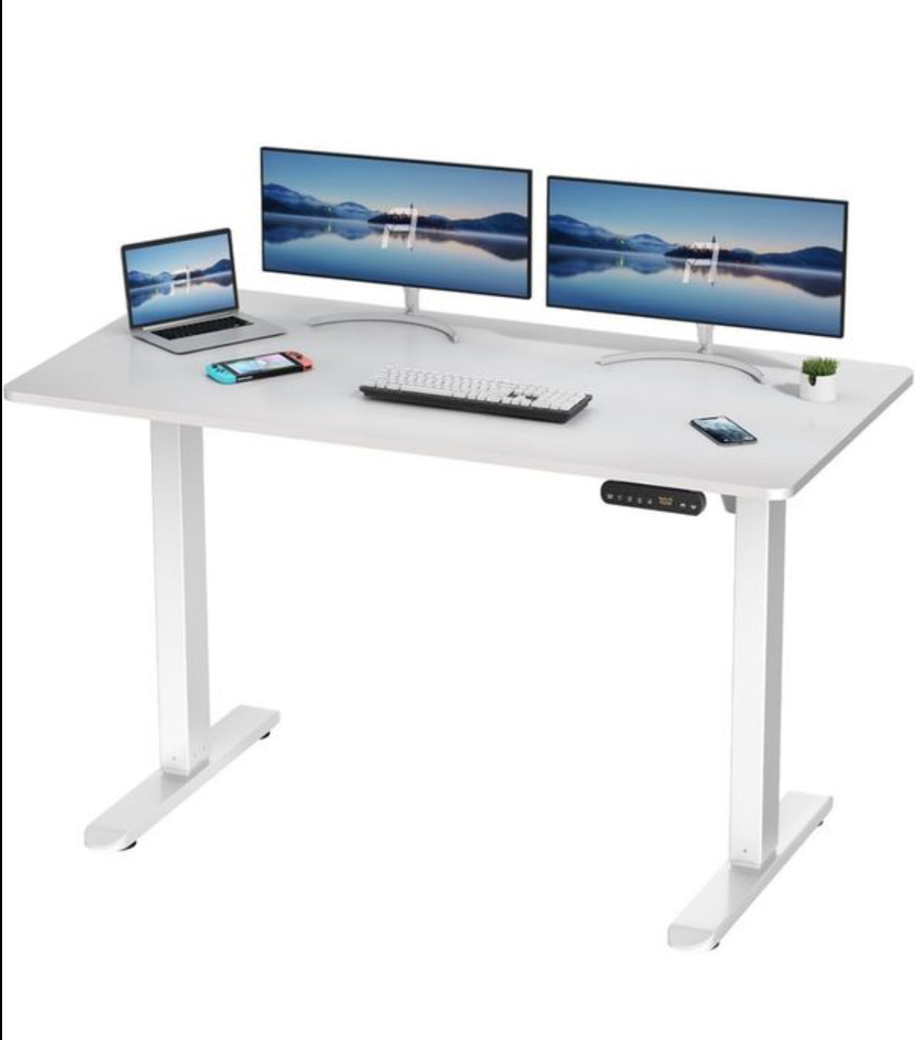 Electric Standing Desk